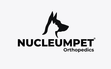 Perro con silla de ruedas ortopédica para perros, NUCLEUMPET Orthopedics en Bogotá Colombia.
