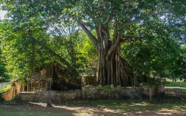 petit canal voyage france guadeloupe