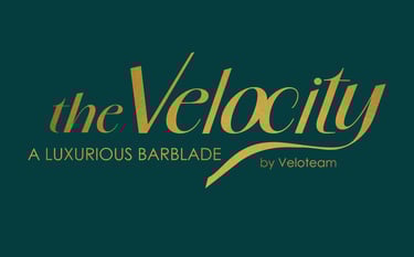 Logo the Velocity