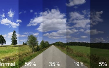 a road with a sky background and a few trees