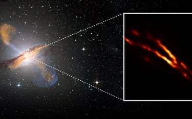 Wandering Supermassive Black Holes
