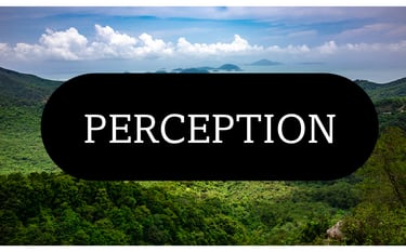 Perception