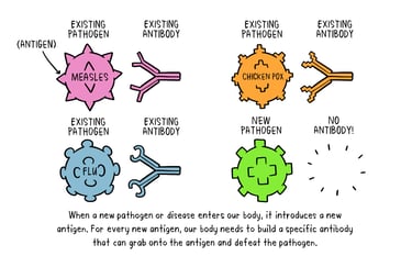 How do vaccines work