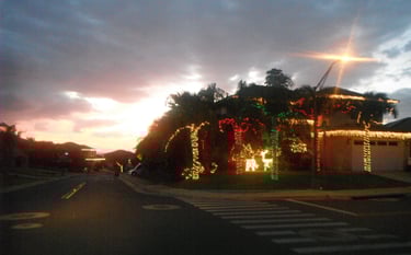 Chapin Christmas light installation and decorating