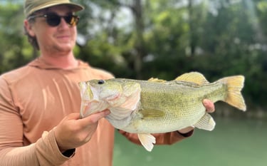 Largemouth Bass