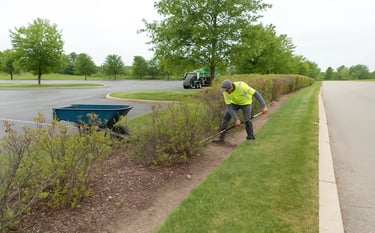 brownsburg bush removal