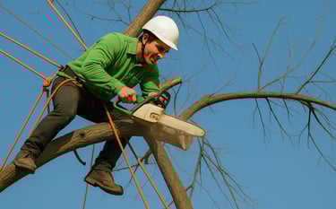 tree trimming and cutting