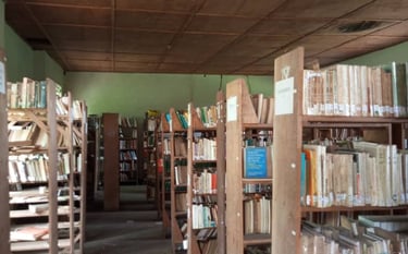 a room with a lot of bookshelves and a chair