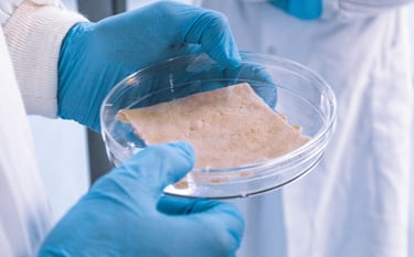 Human skin tissues from CTIBIOTECH biobank biosourcing