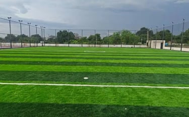 lawn grass suppliers Hyderabad