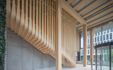 Timber Pioneer – widok drewnianych schodów i konstrukcji wewnętrznej