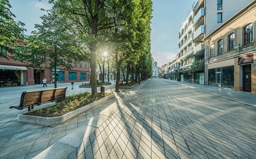 Kauno Laisvės alėja saulei leidžiantis