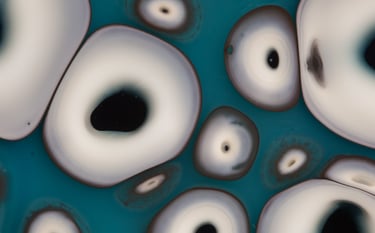 Coral blue - platter