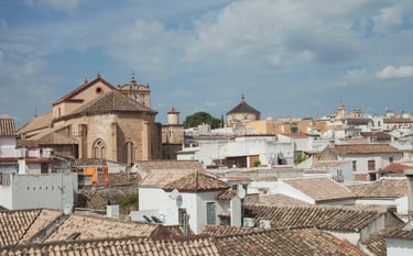 Mezquita de Córdoba aérea con tejados
