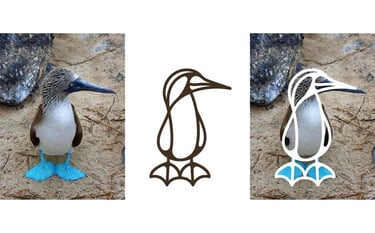 Žydrakojis padūkėlis, booby bird, bubi bird, bubibird, bubibird.lt