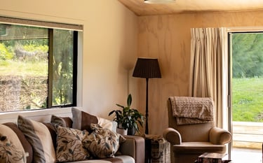 Office renovation shed conversion Tauranga