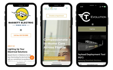 Virtual Assistant Website portfolio