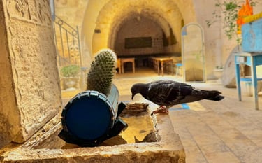 Nahrin Art Hotel - Şanlıurfa Rezervasyon - 0537 036 20 63