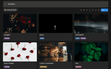Digital journal dashboard featuring a gallery of mood-based entries with aesthetic nature and city photography.