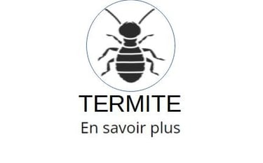 diagnostic termites