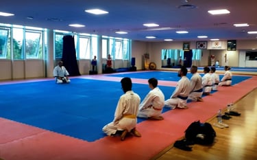 Le Dojo