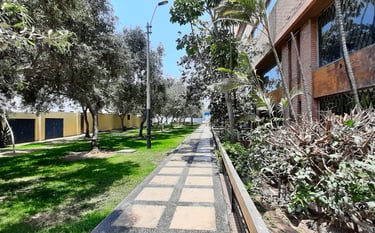 Bosques de Olivos
