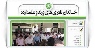 screen shot of naderi.ir website