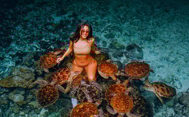 tourist enjoying an interactive tour with sea turtles at the Zanzibar Sea Turtle Aquarium, exploring marine life