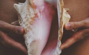 a person holding a large shellfish in their hands in front of the womb