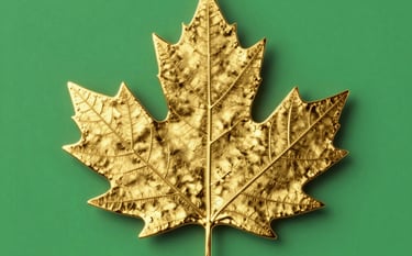 A focused young professional working in a minimalist office with soft morning light. The scene is clean and modern, utilizing a deep green and warm cream color palette to evoke financial empowerment.