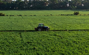 A high-angle, wide-angle photography shot of expansive green agricultural fields in South Asian countryside. In the middle ground, a modern tractor is moving through tidy rows of crops. The lighting is warm morning sun, casting long shadows. Forest green and deep blue hues dominate the landscape.