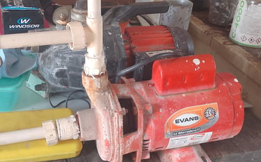 EVANS BOMBA