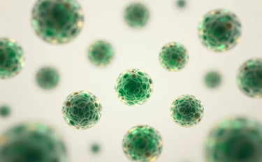 An abstract, elegant visual representing cellular health: soft, glowing spheres resembling cells moving in a rhythmic, balanced pattern. The colors are deep emerald green and subtle gold, with a soft-focus background in warm white.