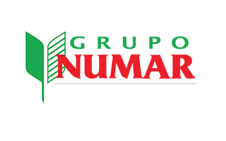 Grupo Numar
