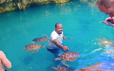 Exciting moment as a visitor plays and swims with sea turtles in Zanzibar aquarium