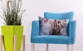 Mobiliar, Equipar e Decorar sua Casa