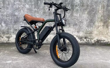 20inch fat tire EU warehouse 