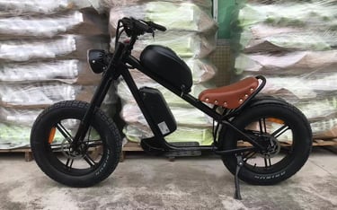20inch fat tire chainless ebike 