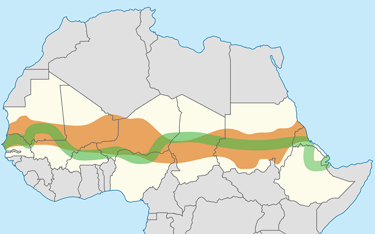 Image of the route of the Great Green Wall in Africa