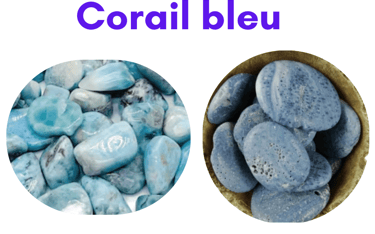 Corail bleu Bijoux Les Couleurs de Lo