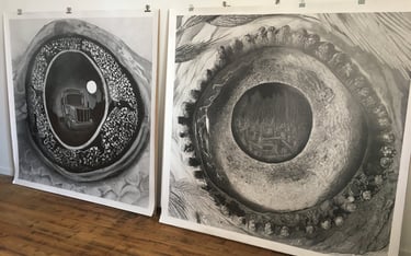 Grenouille et perroquet