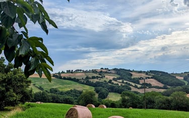 Un champ avec des balles de foin et en arrière plan les collines aveyronnaises