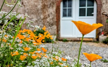 Ensemble de fleur blanche et orange, en arrière plan une maison avec une porte blanche