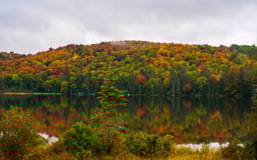 An Autumn scene with a lake and trees