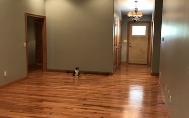 LVT Flooring & Vinyl Flooring shop near me Pratap vihar Siddharth Vihar