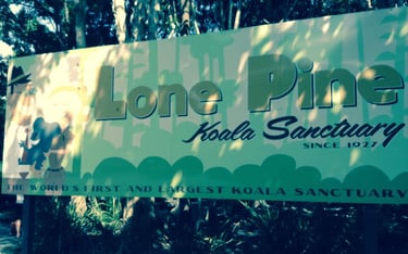 foto da placa do santuario lone pine coala em brisbane australia