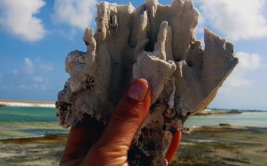 foto da autora segurando um coral em Bonaire viagens de navio