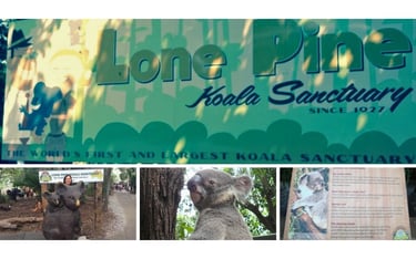 A entrada do Lone Pine Koala Sanctuary em Brisbane