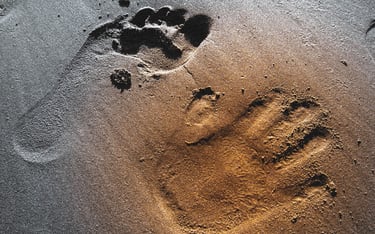 One footprint