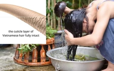 the cuticle layer of Vietnamese hair fully intact